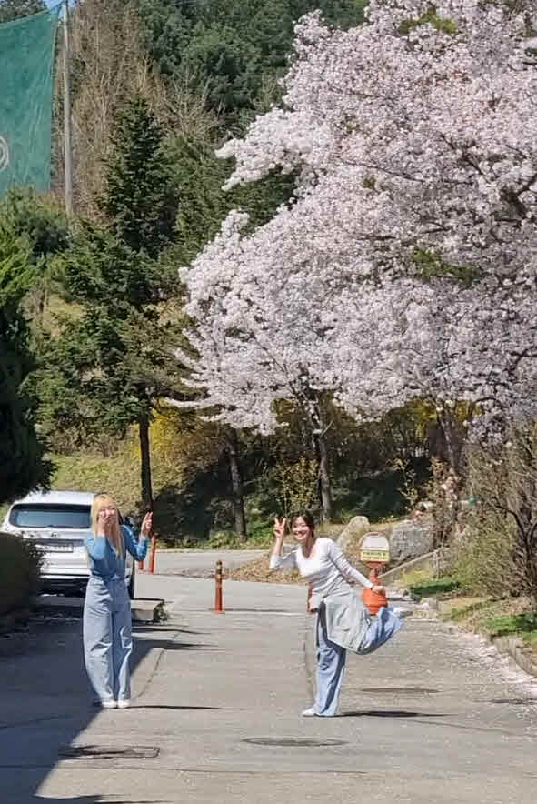 2024년 한림성심대학교의 봄